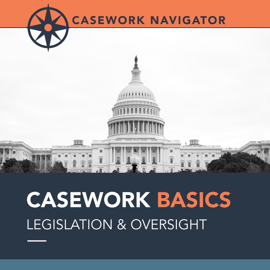 Casework in Political Science